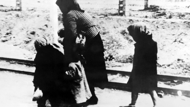 O proceso de adoção da 'Solução Final' nazista