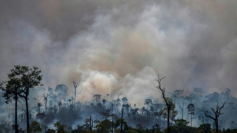 HRW denuncia aumento de agressões contra defensores da Amazônia no Brasil
