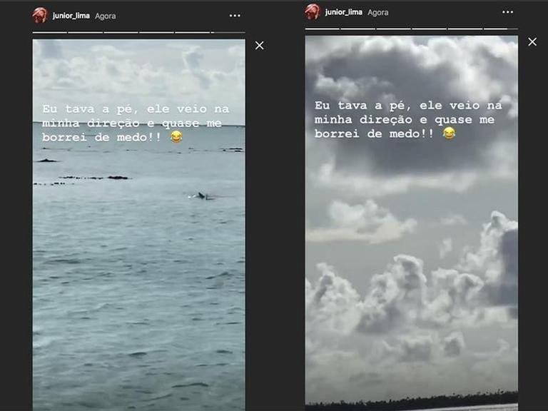 "Quase me borrei de medo", diz Junior Lima após fugir de tubarão