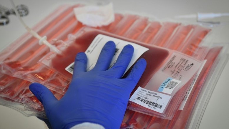 Terapia gênica de combate ao câncer com Crispr chega a uma nova etapa