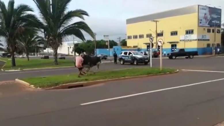 Reprodução/ TV Morena