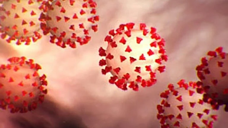 Centers for Disease Control and Prevention/AFP