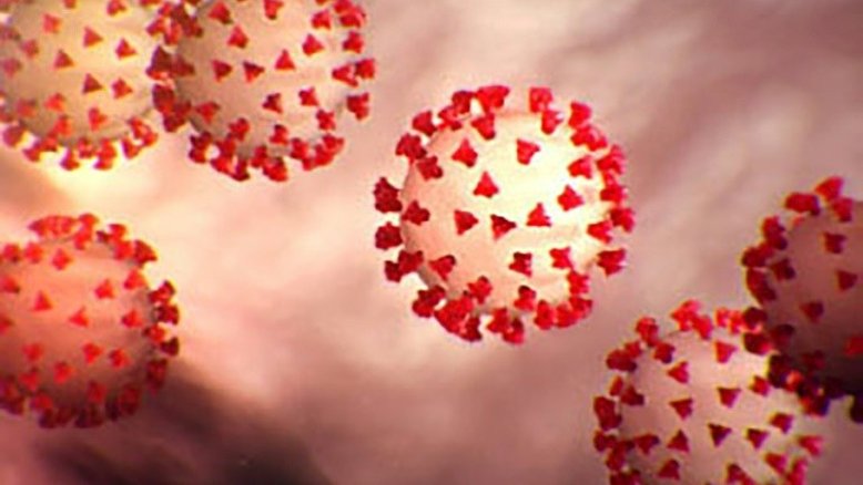 Centers for Disease Control and Prevention/AFP