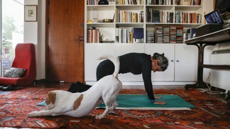 Academia Francesa pede precaução com animais, apesar da ausência de evidência de transmissão de coronavírus