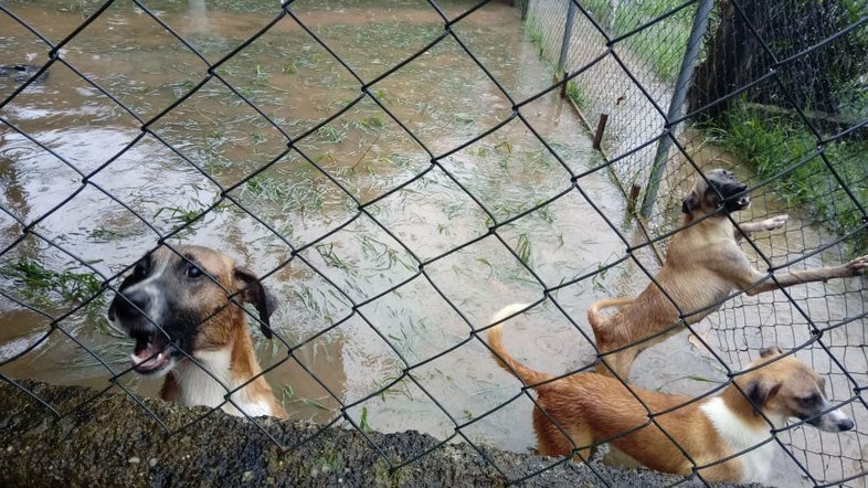 Reprodução/ Redes sociais