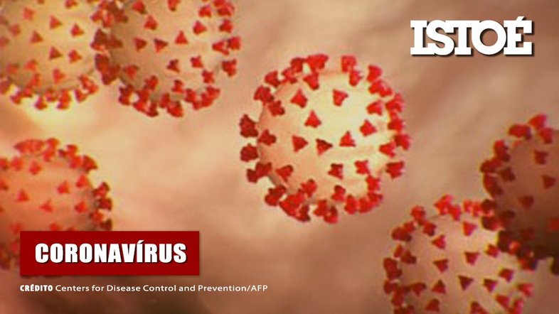 Foto: Centers for Disease Control and Prevention-AFP