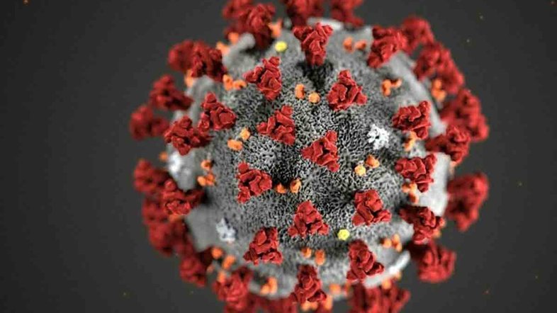 Entenda a diferença entre Covid-19, resfriado e gripe