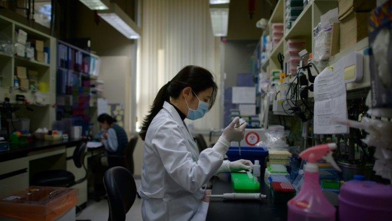 Há mais de 100 projetos de vacina contra Covid-19 registrados no mundo