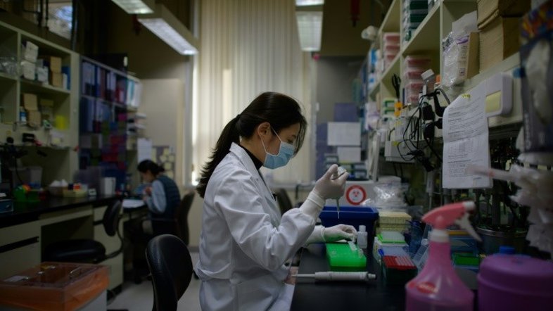 Há mais de 100 projetos de vacina contra Covid-19 registrados no mundo