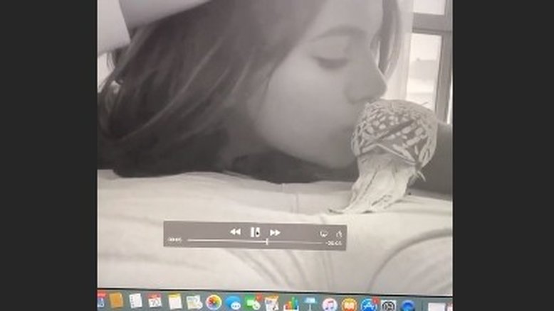 Reprodução/Instagram