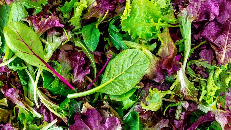 Estes são os 12 melhores tipos de verduras para adicionar na salada