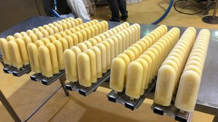 Empresas pernambucanas lançam picolé de cerveja. Confira!
