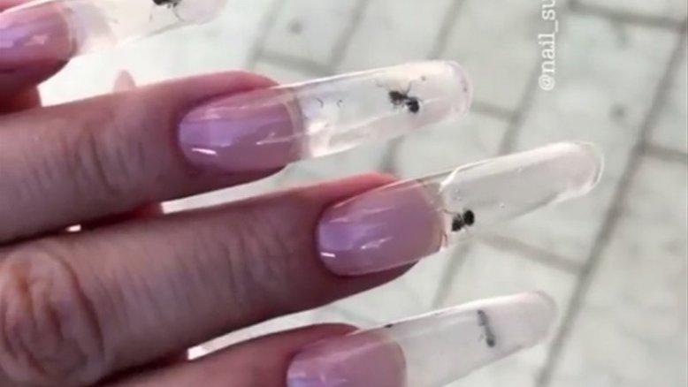 Salão de beleza prende formigas vivas em unhas de acrílico