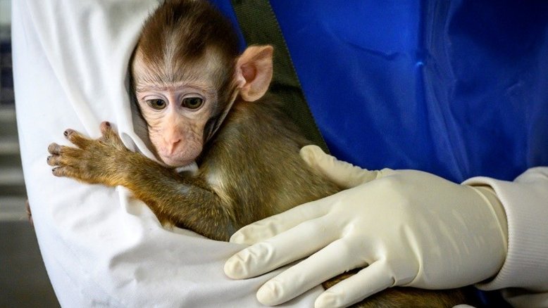 Tailândia entra na corrida das vacinas contra COVID-19