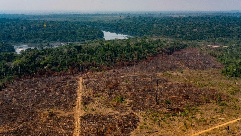 Drama do coronavírus abafa som das motosserras na Amazônia