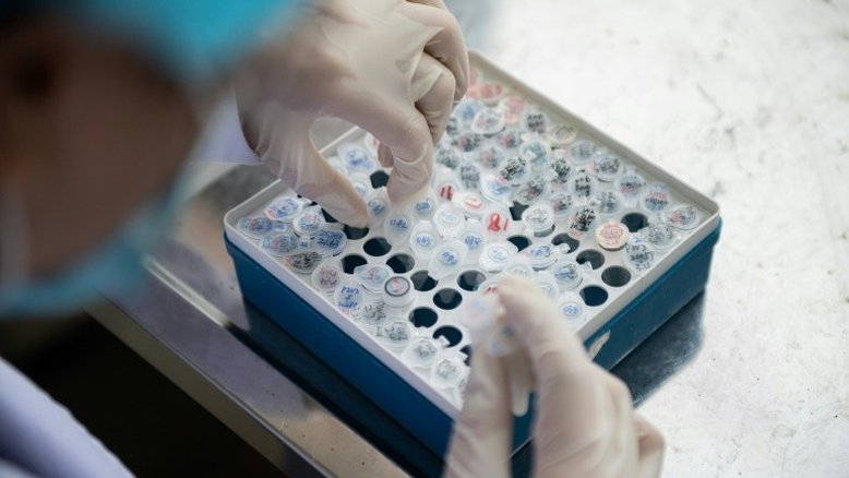 Empresa promovida por Trump pode fornecer testes de Covid-19 ao Brasil