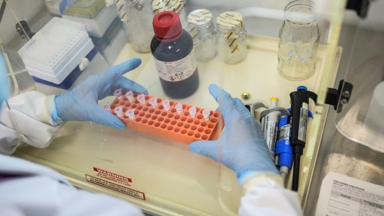 Estudos científicos, um universo restrito que a pandemia colocou em praça pública