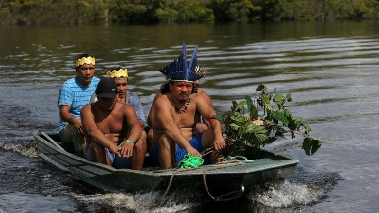 Indígenas da Amazônia brasileira usam ervas medicinais contra o coronavírus