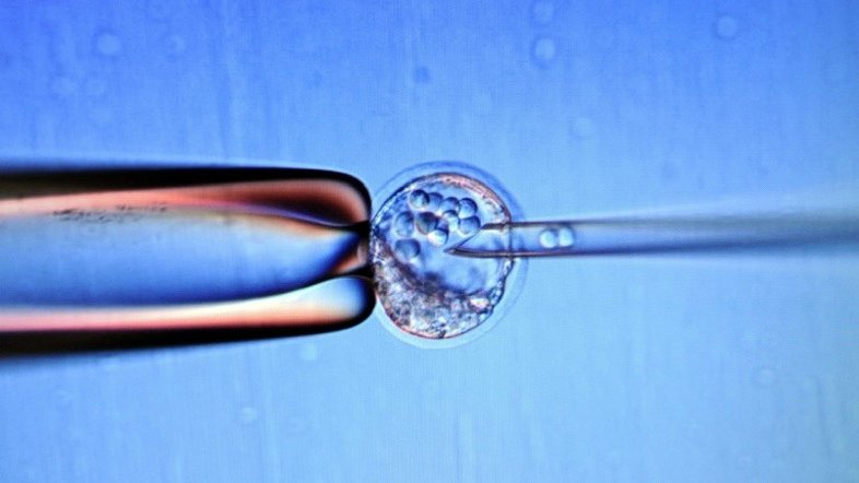 Tratamento pioneiro no Japão com células-tronco em bebê com doença hepática