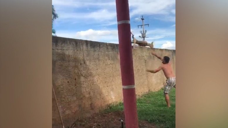 Reprodução redes sociais