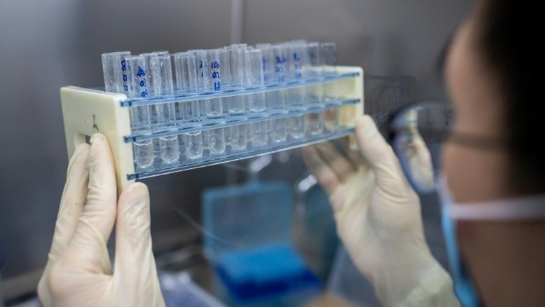 Covid-19: Pfizer e BioNTech recebem 'fast track' da FDA para 2 possíveis vacinas