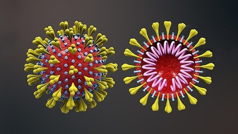 Scientific Animations-Wikimedia Commons/Divulgação