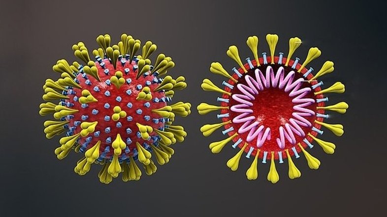 Scientific Animations-Wikimedia Commons/Divulgação