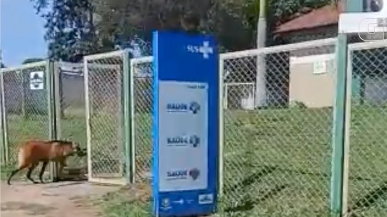 Governo lança programa para reduzir filas no sistema de saúde