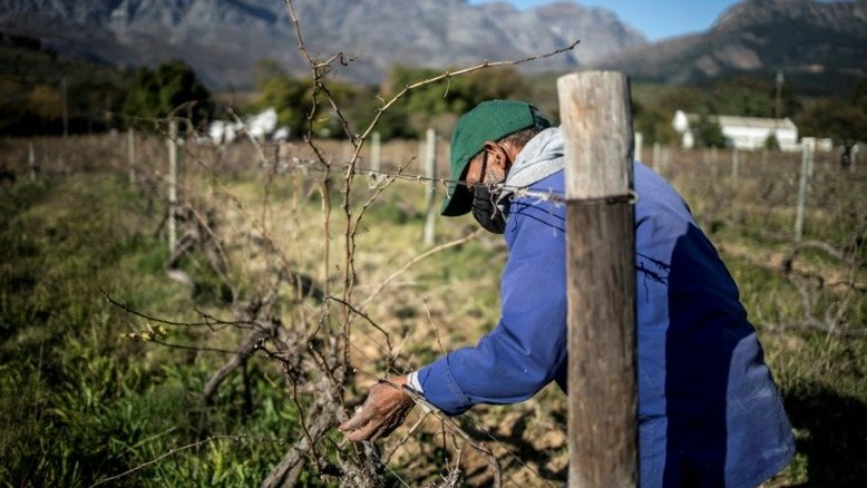 África do Sul supera 100.000 casos de coronavírus