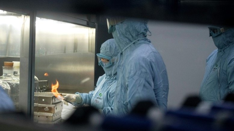 Países com vacina obrigatória para tuberculose têm menos mortes por Covid-19