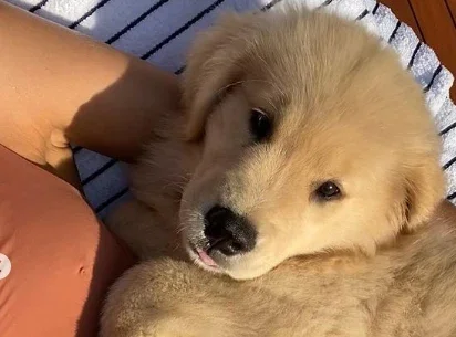Reprodução/ Instagram