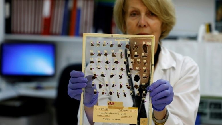 DNA revela parte do segredo dos Manuscritos do Mar Morto