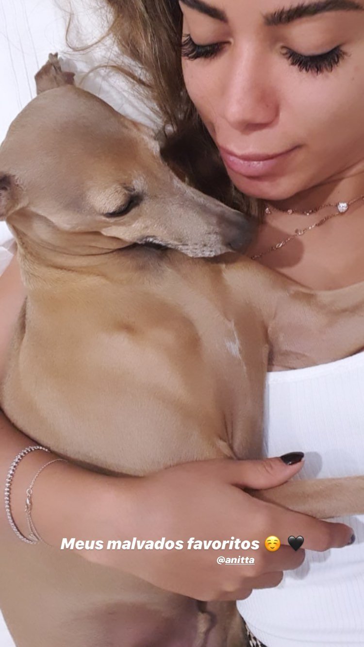 Gui Araújo deixa a casa de Anitta após briga com cantora 8 Gui Araújo deixa a casa de Anitta após briga com cantora