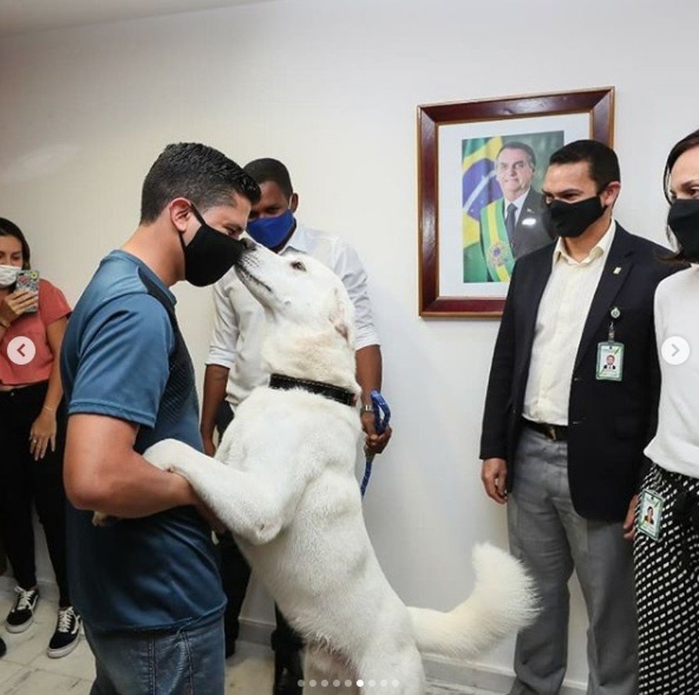 Cachorro adotado por Michelle Bolsonaro, Augusto na verdade se chama Zeus e foi devolvido ao dono 2 Cachorro adotado por Michelle Bolsonaro, Augusto na verdade se chama Zeus e foi devolvido ao dono