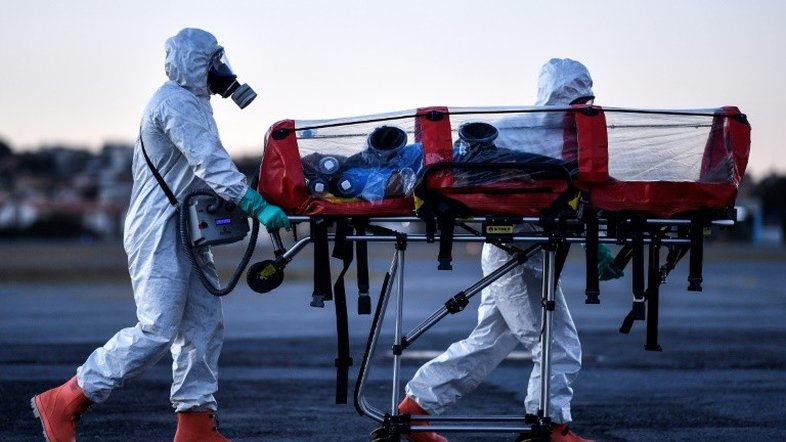 As mil e uma pandemias do coronavírus no Brasil