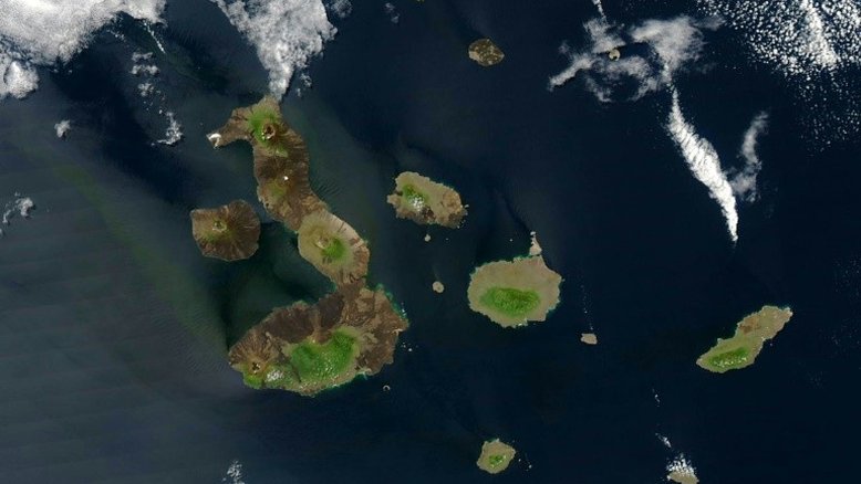 Equador comunica China sobre o "mal-estar" por frota pesqueira próxima de Galápagos