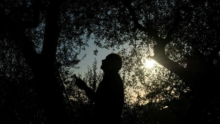 A luta pela independência do "principado" italiano de Seborga