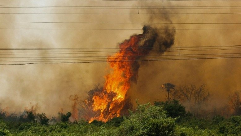 Cerca de 10% do Pantanal foi destruído em incêndios neste ano