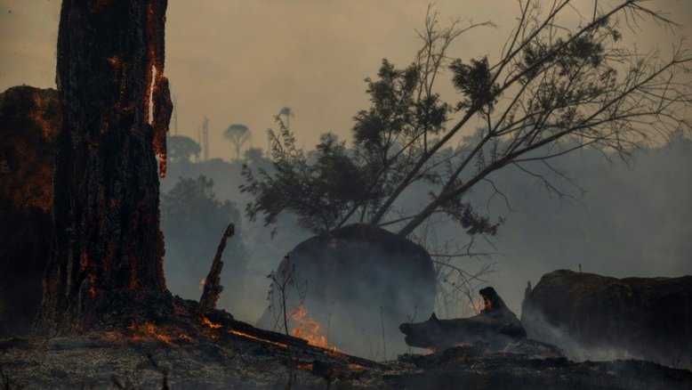 Desmatamento recorde na Amazônia no primeiro semestre de 2020