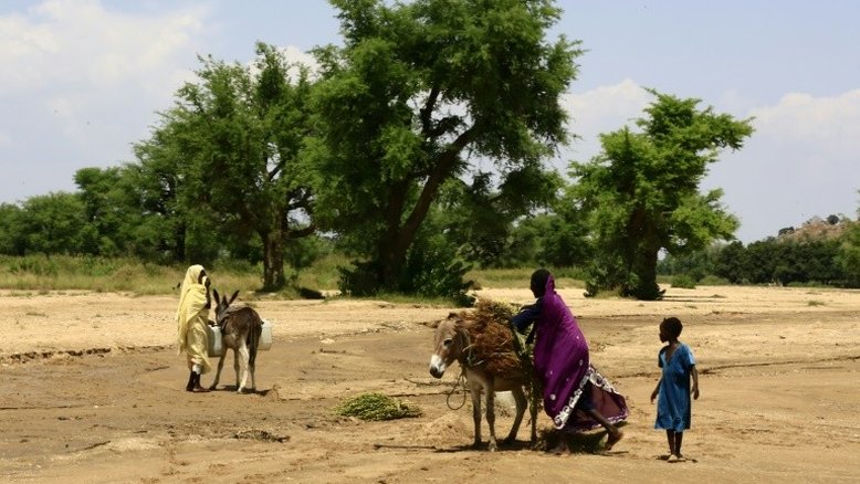 Mais de 60 mortos em nova chacina na região sudanesa de Darfur