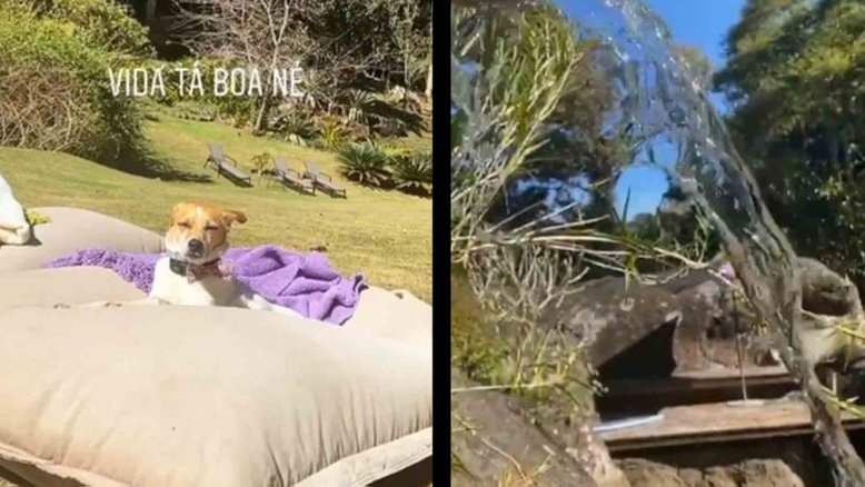 Reprodução/Instagram