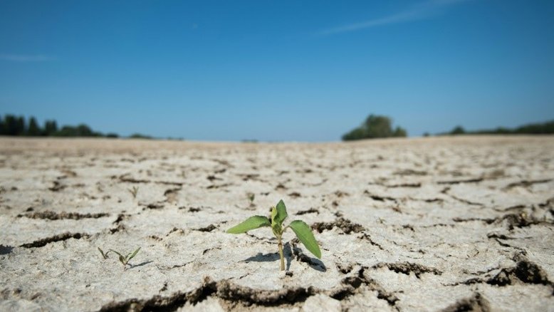 Seca extrema de 2018-19 na Europa pode se repetir, diz estudo