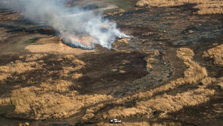 Biodiversidade no Delta do Paraná ameaçada por incêndios históricos