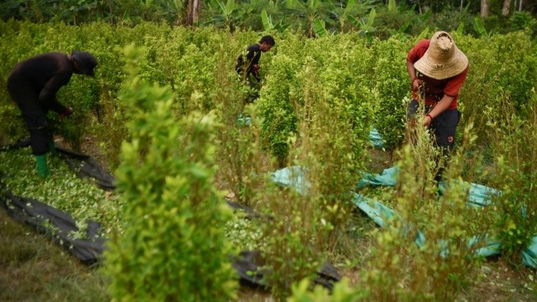 Cinco membros de cartel de drogas morrem em bombardeio na Colômbia