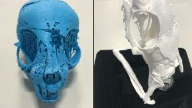 Tecnologia 3D permite analisar internamente múmias de animais