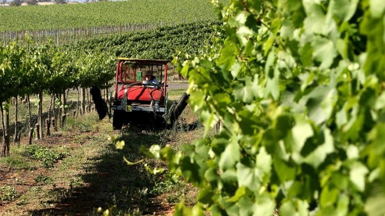 O vinho, nova vítima da disputa entre China e Austrália
