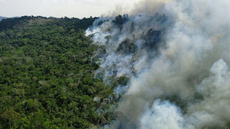 AGU obtém bloqueio de R$ 570 milhões de desmatadores da Amazônia