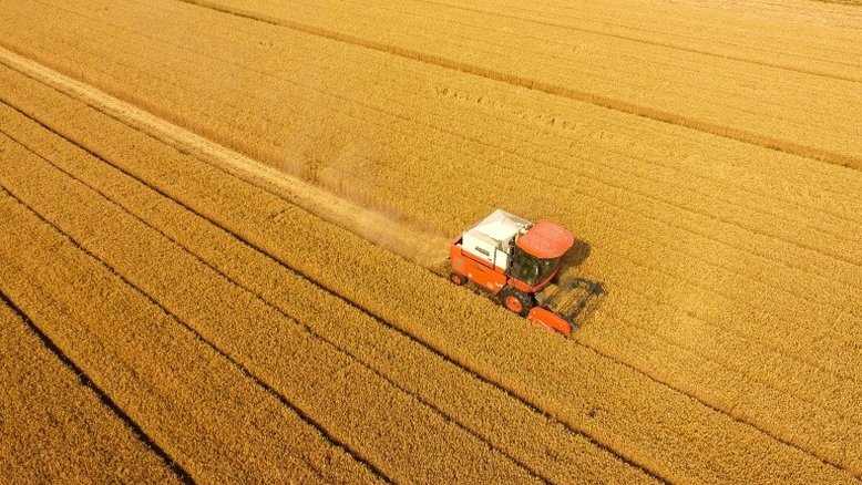Campanha contra desperdício levanta suspeita sobre crise alimentar na China