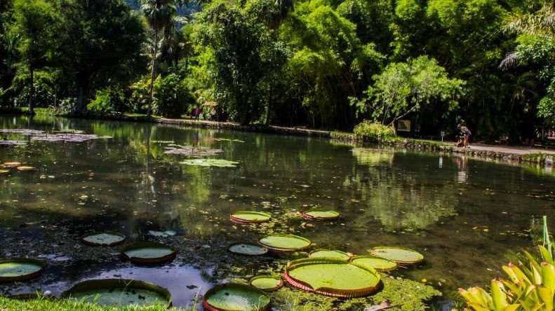 8 parques nacionais que já podem ser visitados no Brasil 27 8 parques nacionais que já podem ser visitados no Brasil