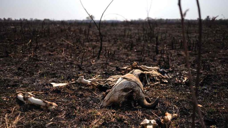 Pantanal e Amazônia registram recorde de queimadas em outubro